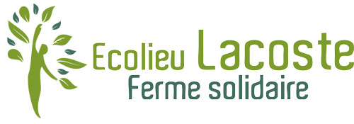 Accueil